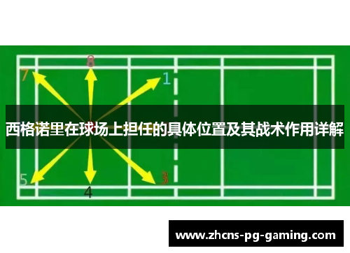 西格诺里在球场上担任的具体位置及其战术作用详解